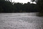 tranquil cauvery